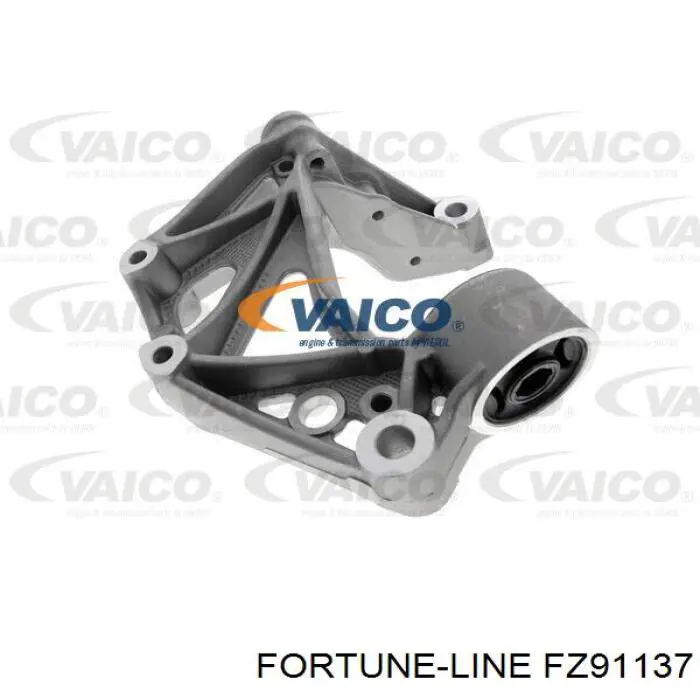FZ91137 Fortune Line 