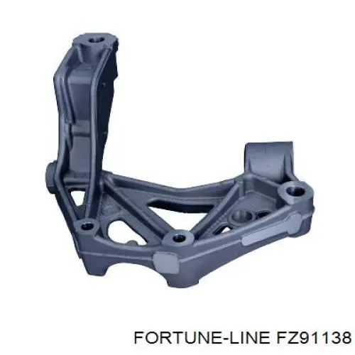  FZ91138 Fortune Line