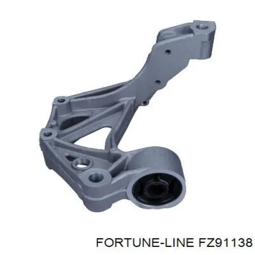  FZ91138 Fortune Line