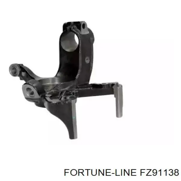 FZ91138 Fortune Line 