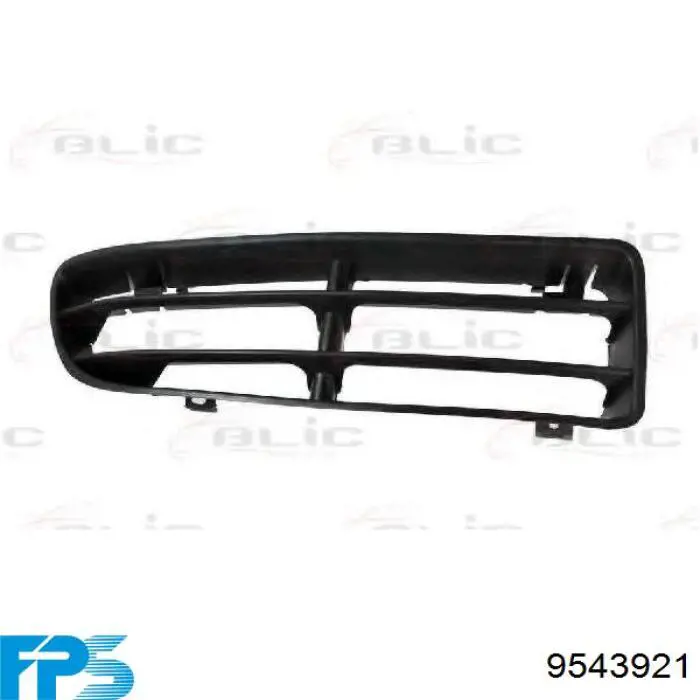 Молдинг переднього бампера FPS 9543921 ціна, від 11.27 USD