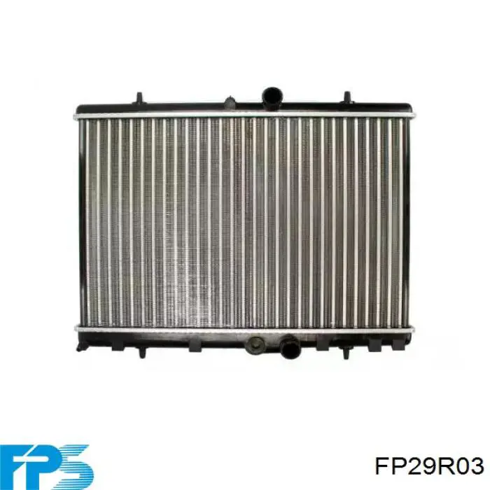 Кришка радіатора FP29R03 FPS