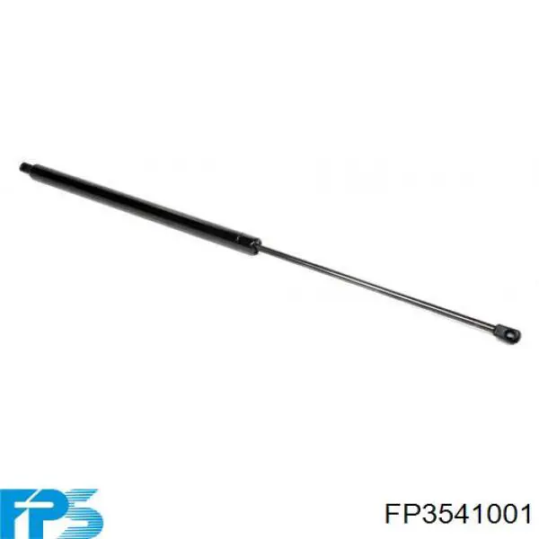 FP3541001 FPS Поріг зовнішній лівий