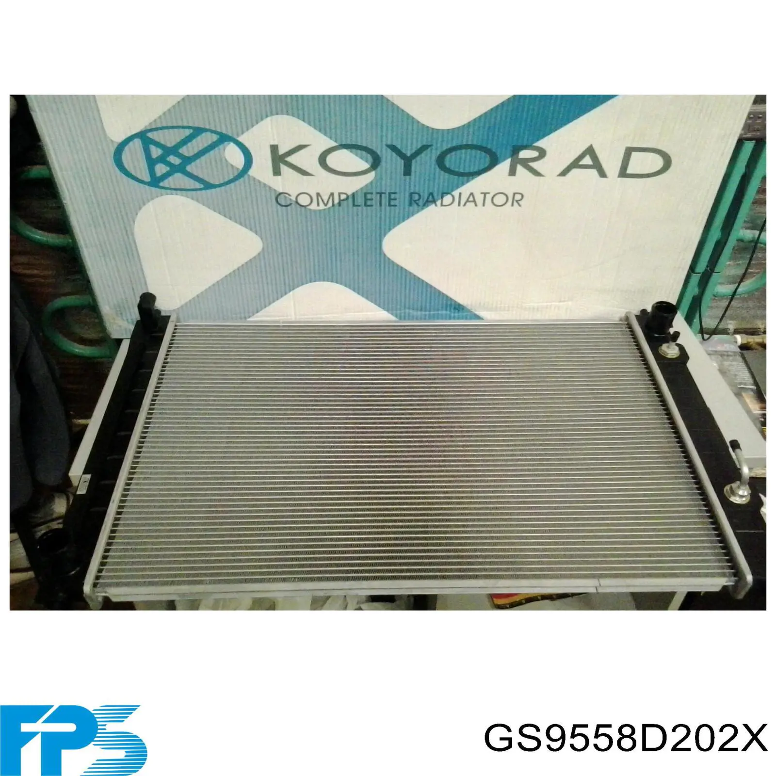  GS9558D202 XYG