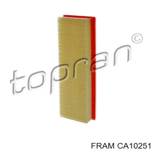 Повітряний фільтр CA10251 Fram