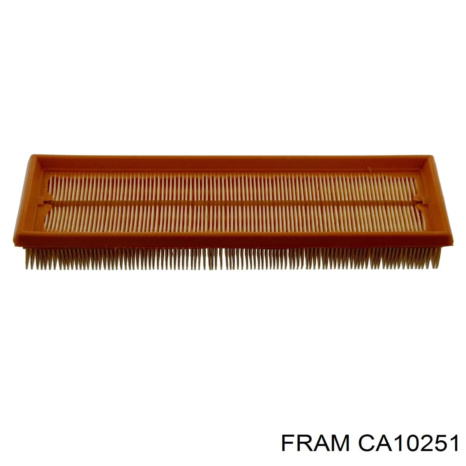 Купити CA10251 Fram Автомобільний фільтр повітря