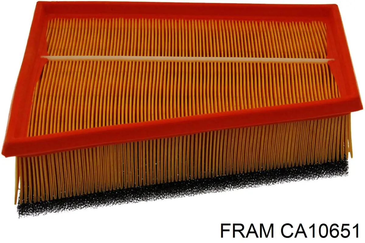 CA10651 Fram Повітряний фільтр двигуна