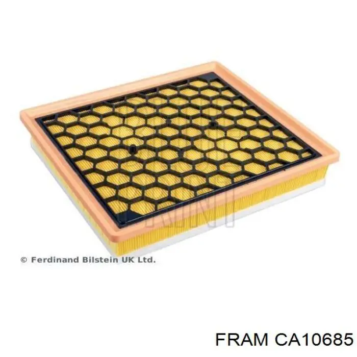 Повітряний фільтр CA10685 Fram