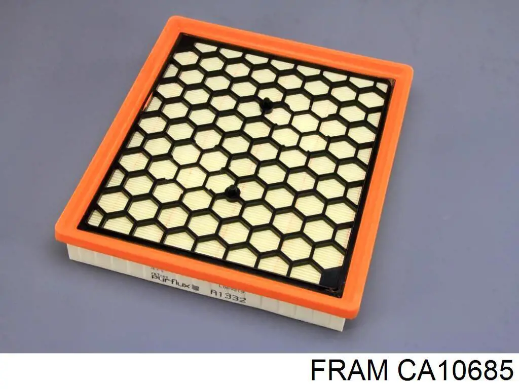 CA10685 Fram Повітряний фільтр двигуна