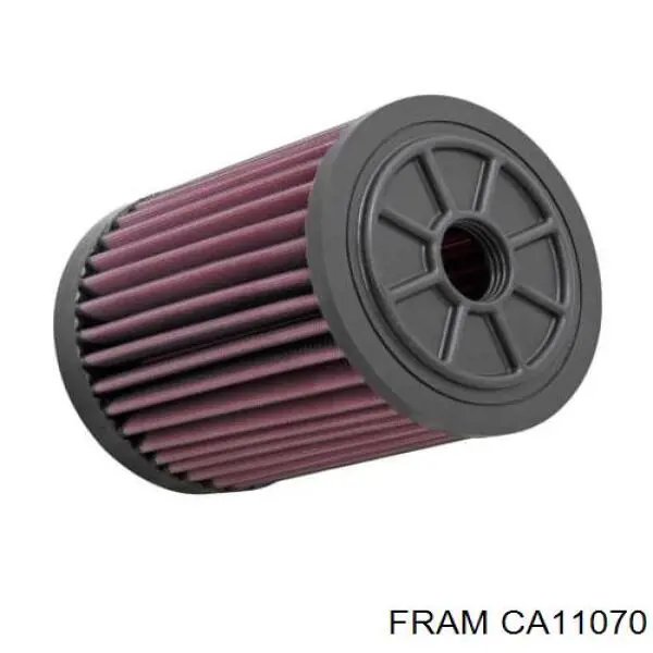 Елемент повітряного фільтра Fram CA11070 ціна, від 17.84 USD