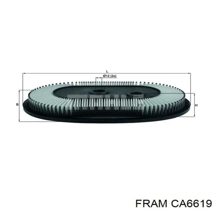B21022PR Japan Cars Повітряний фільтр двигуна