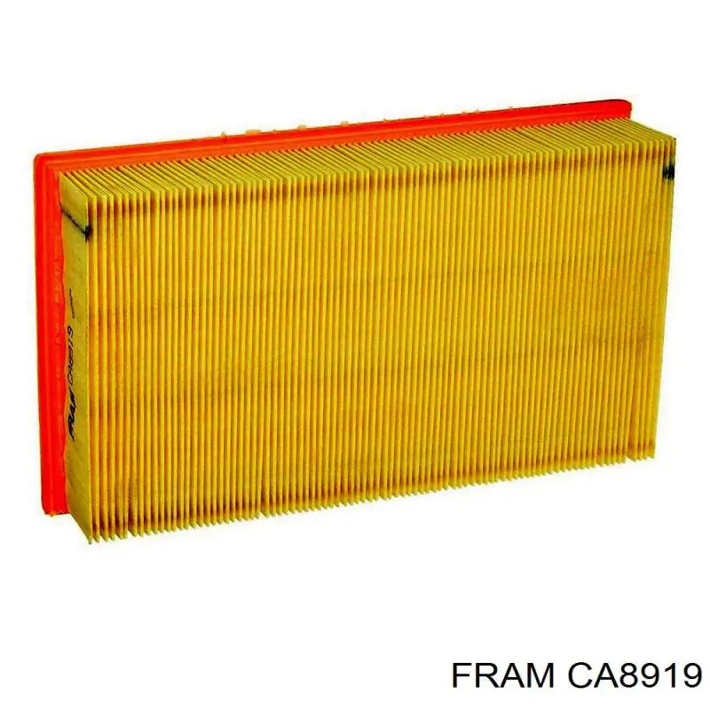 CA8919 Fram фільтр повітряний