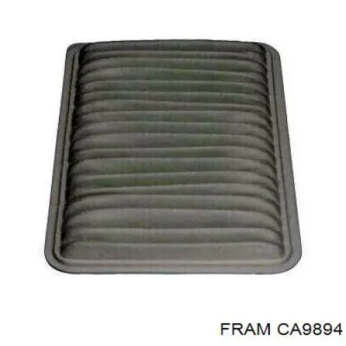 Купити CA9894 Fram Автомобільний фільтр повітря