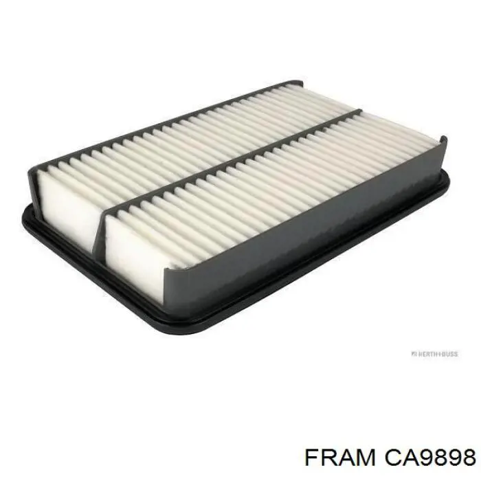 Купити CA9898 Fram Автомобільний фільтр повітря