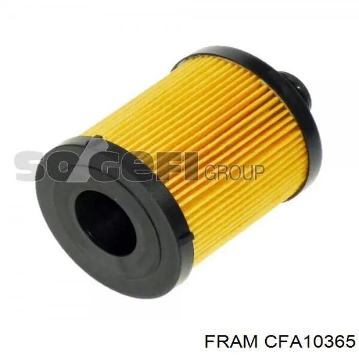 CFA10365 Fram фільтр салону