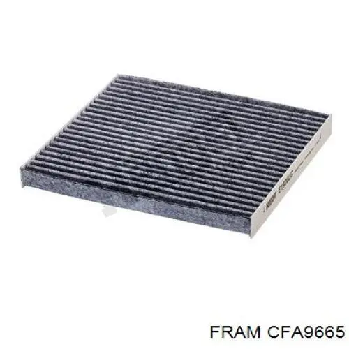 CFA9665 Fram фільтр салону