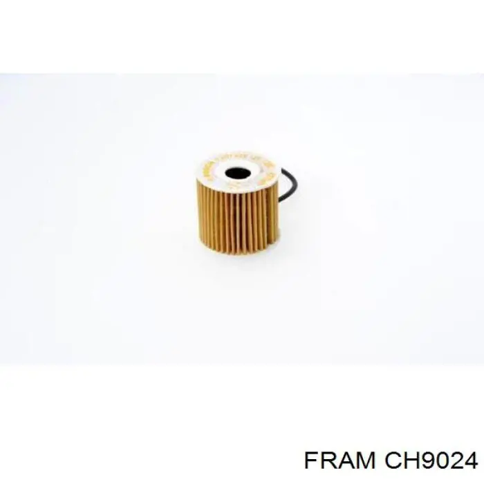 Масляний фільтр двигуна Fram CH9024 ціна, від 4.03 USD