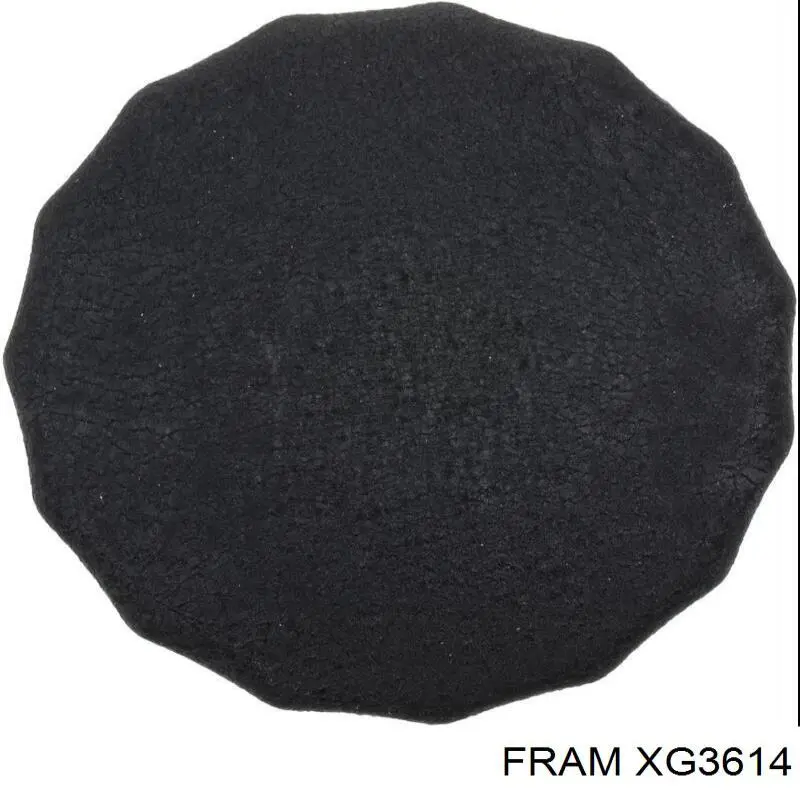 Купити XG3614 Fram Фільтр очищення масла відцентровий