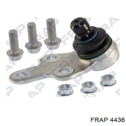4436 Frap 