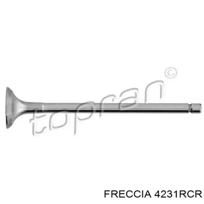 4231 Freccia Клапан випускний