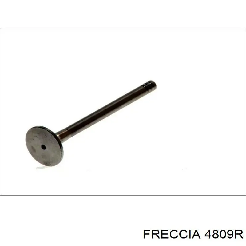 4809R Freccia Клапан випускний