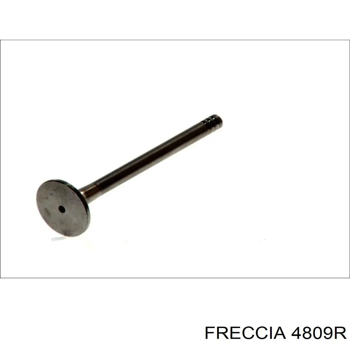 4809R Freccia клапан випускний