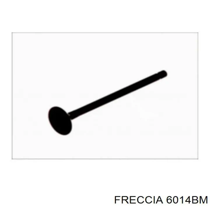 6014BM Freccia клапан випускний