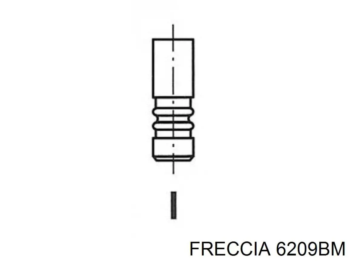 6209 Freccia Випускний клапан двигуна