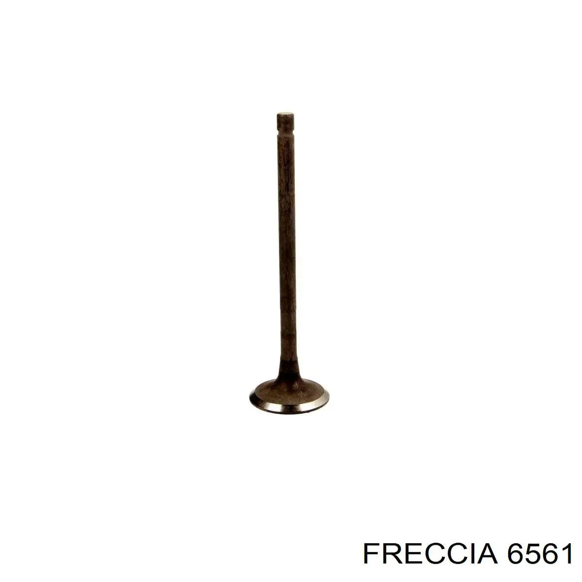 Купити 6561 Freccia Клапан випускний