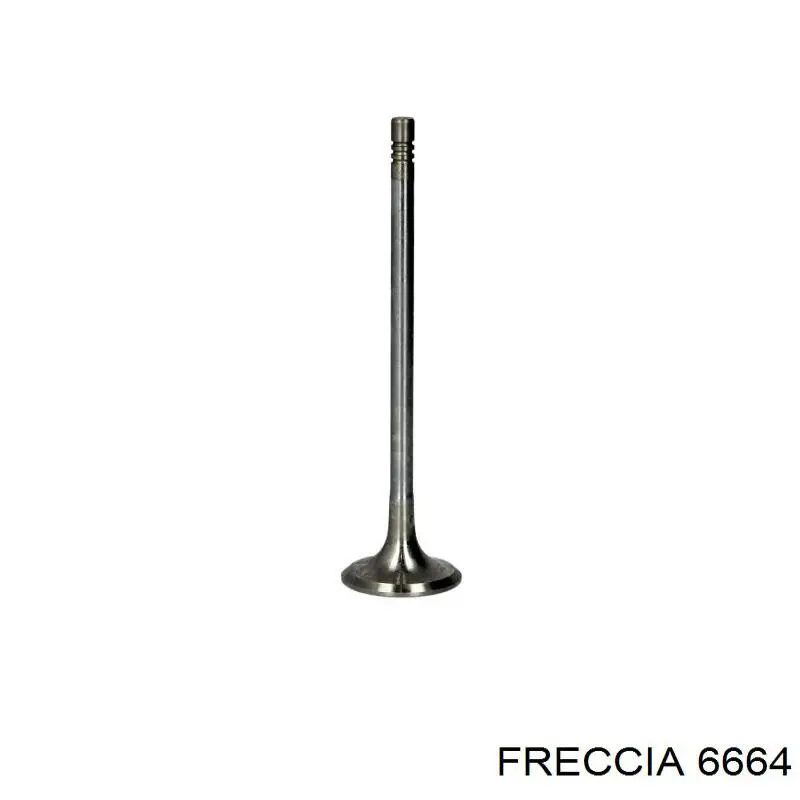 Вихлопний клапан Freccia 6664 ціна, від 7.43 USD