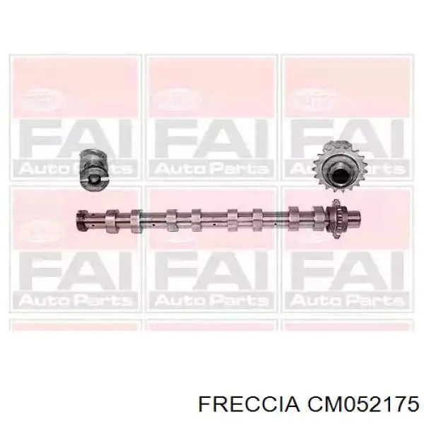 Розподільний вал двигуна випускний Freccia CM052175 ціна, від 105.67 USD