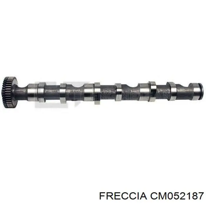 Розподільний вал двигуна випускний правий CM052187 FRECCIA