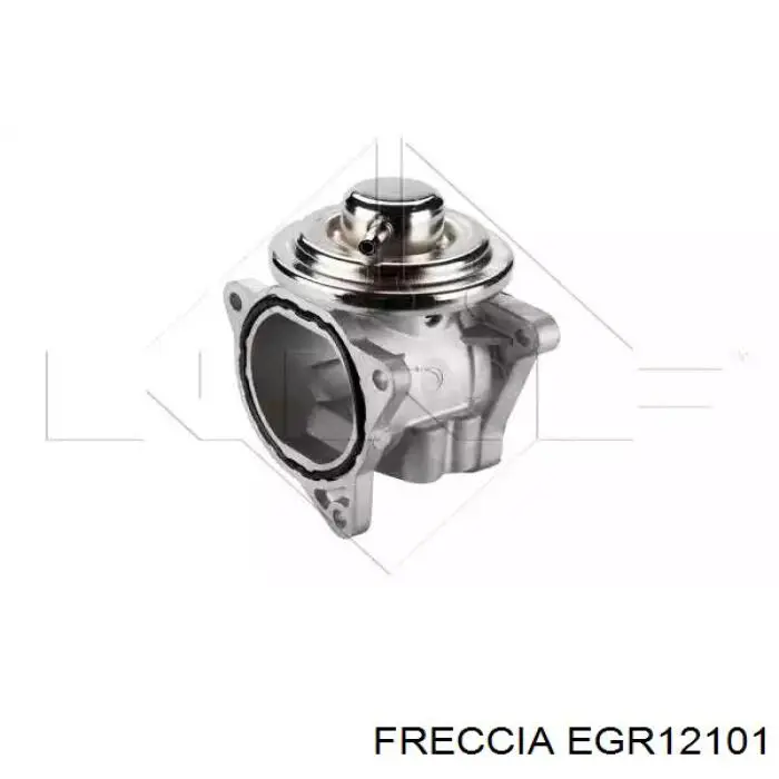 Клапан ЄГР EGR12101 Freccia