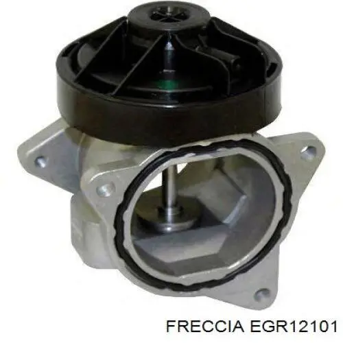 Купити EGR12101 Freccia Прилади управління системи рециркуляції
