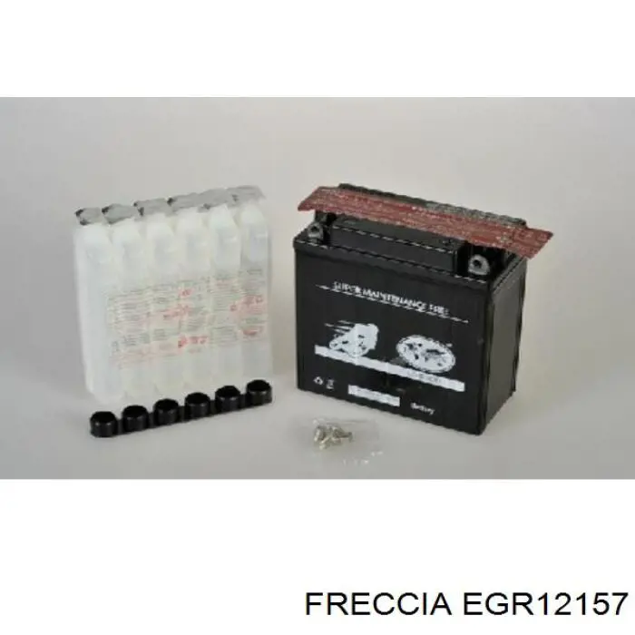 Купити EGR12157 Freccia Прилади управління системи рециркуляції