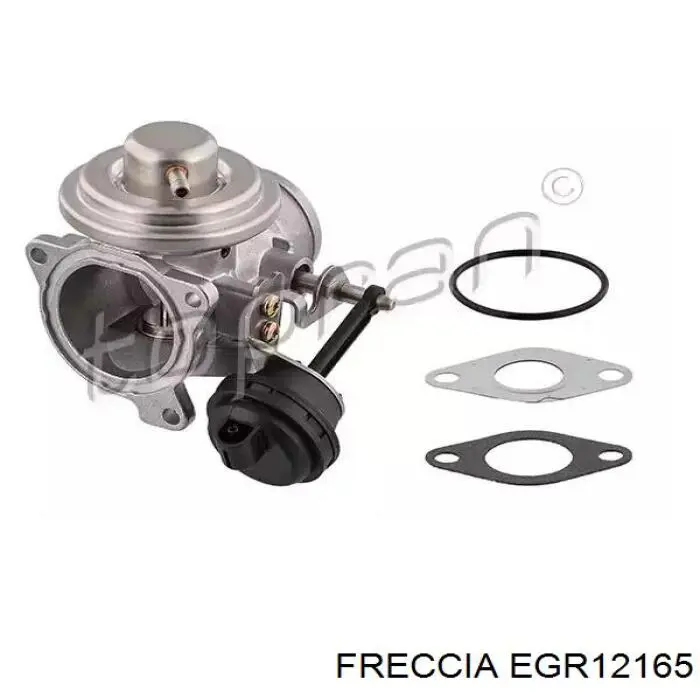 Клапан EGR Freccia EGR12165 ціна, від 27.13 USD
