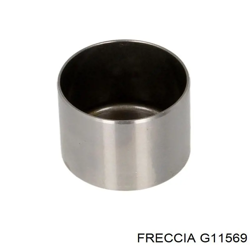 G11569 Freccia Напрямна клапана