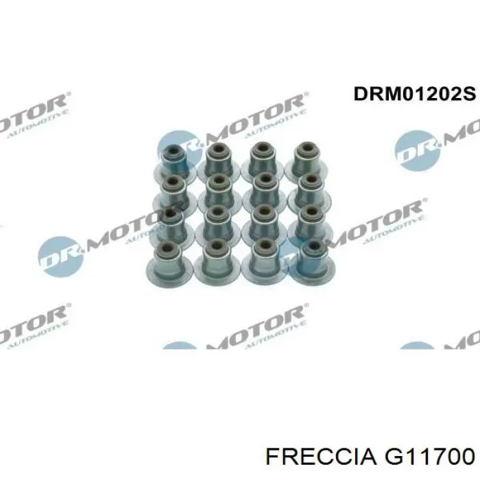  G11700 Freccia