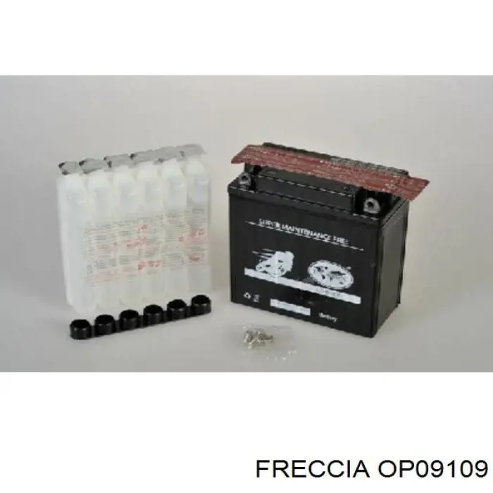 Масляний насос OP09109 Freccia