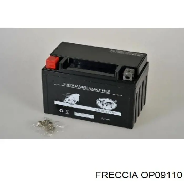 OP09110 Freccia Масляний насос двигуна