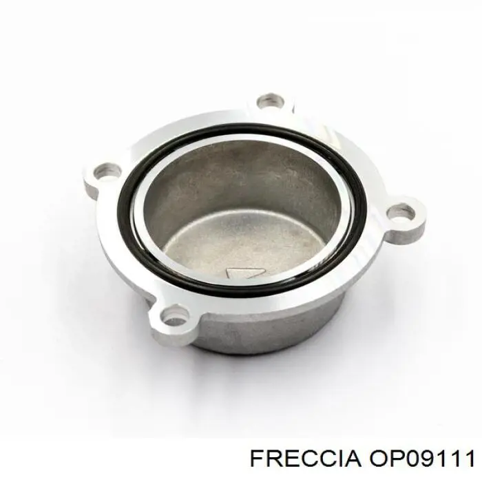 Помпа масляна Freccia OP09111 ціна, від 43.66 USD