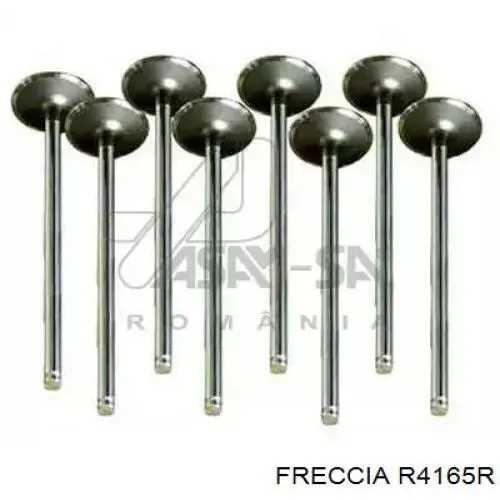 Купити R4165R Freccia Клапан випускний