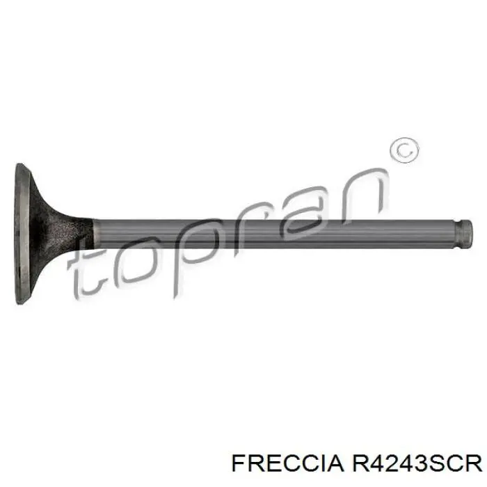 Купити R4243SCR Freccia Клапан впускний
