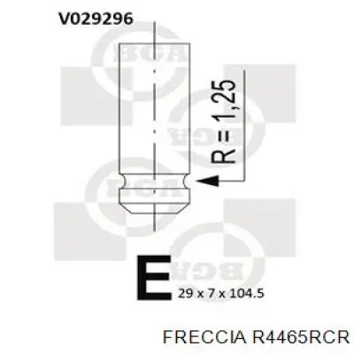 Купити R4465RCR Freccia Клапан випускний