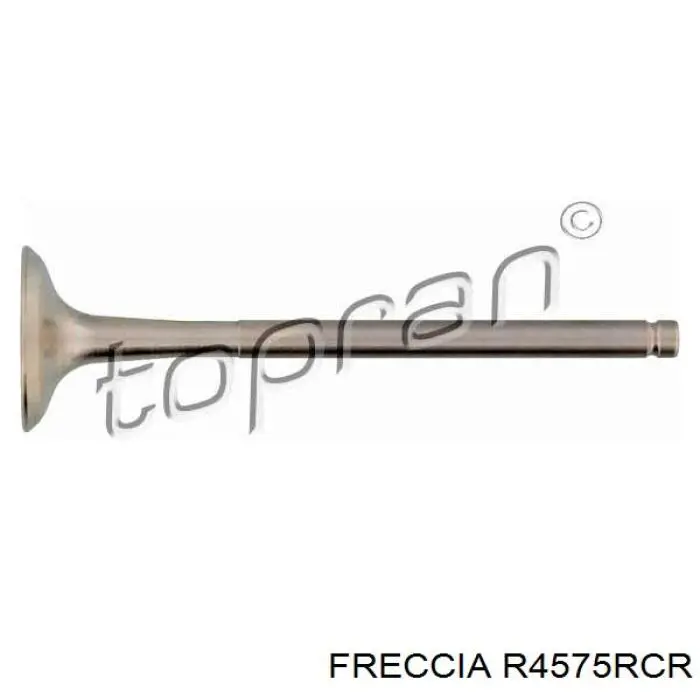 Вихлопний клапан Freccia R4575RCR ціна, від 5.76 USD