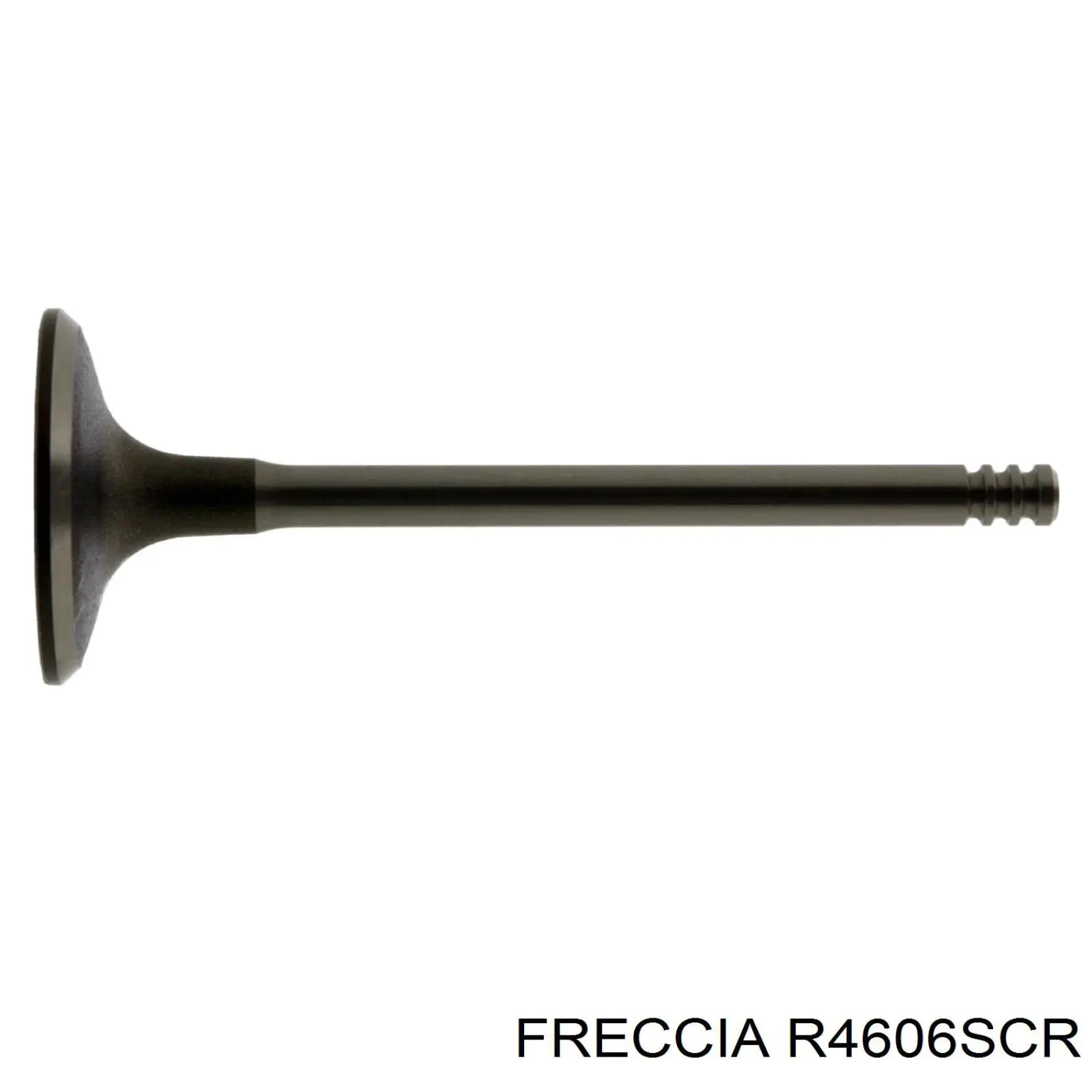 Купити R4606SCR Freccia Клапан впускний