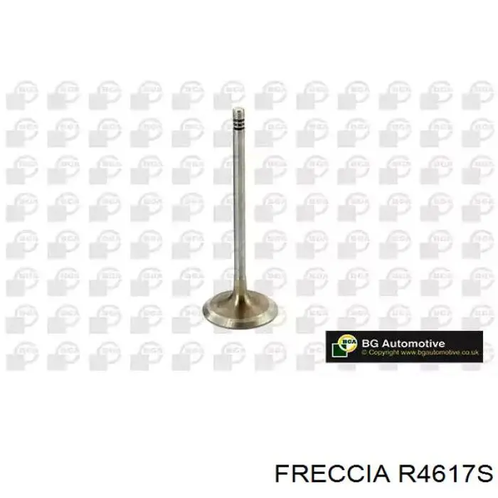 Купити R4617S Freccia Клапан впускний