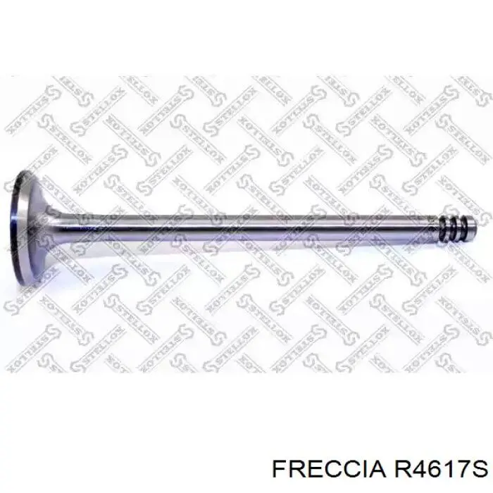 4617 Freccia клапан впускний