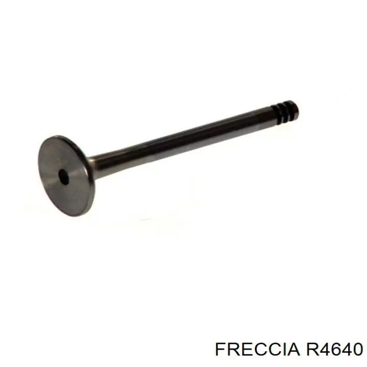 R4640 Freccia клапан випускний