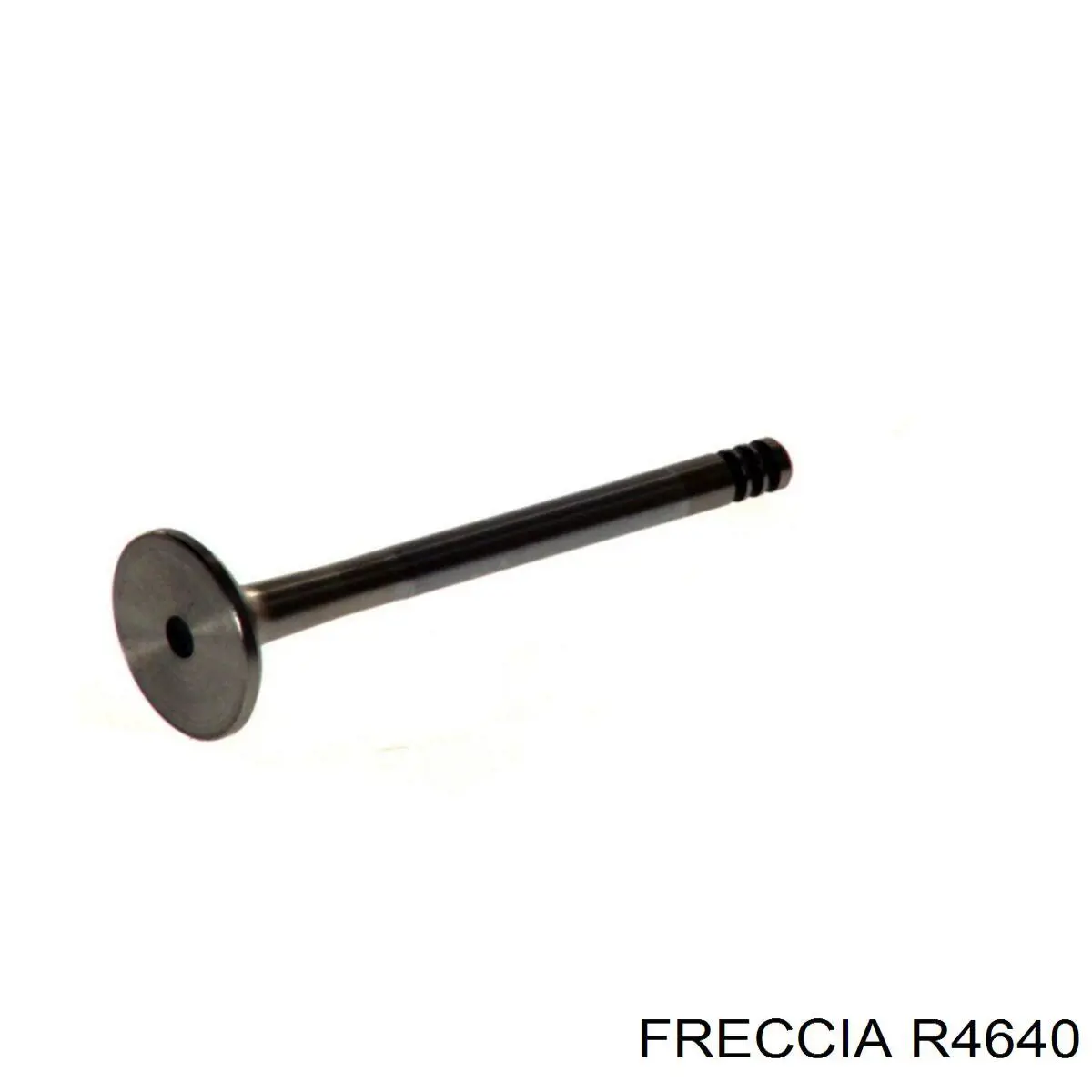 Купити R4640 Freccia Клапан випускний